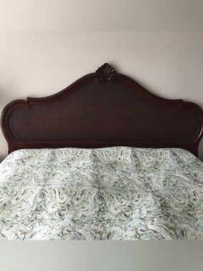 Nicole Miller Sea Foam Green Paisley Queen Duvet Cover & Shams!